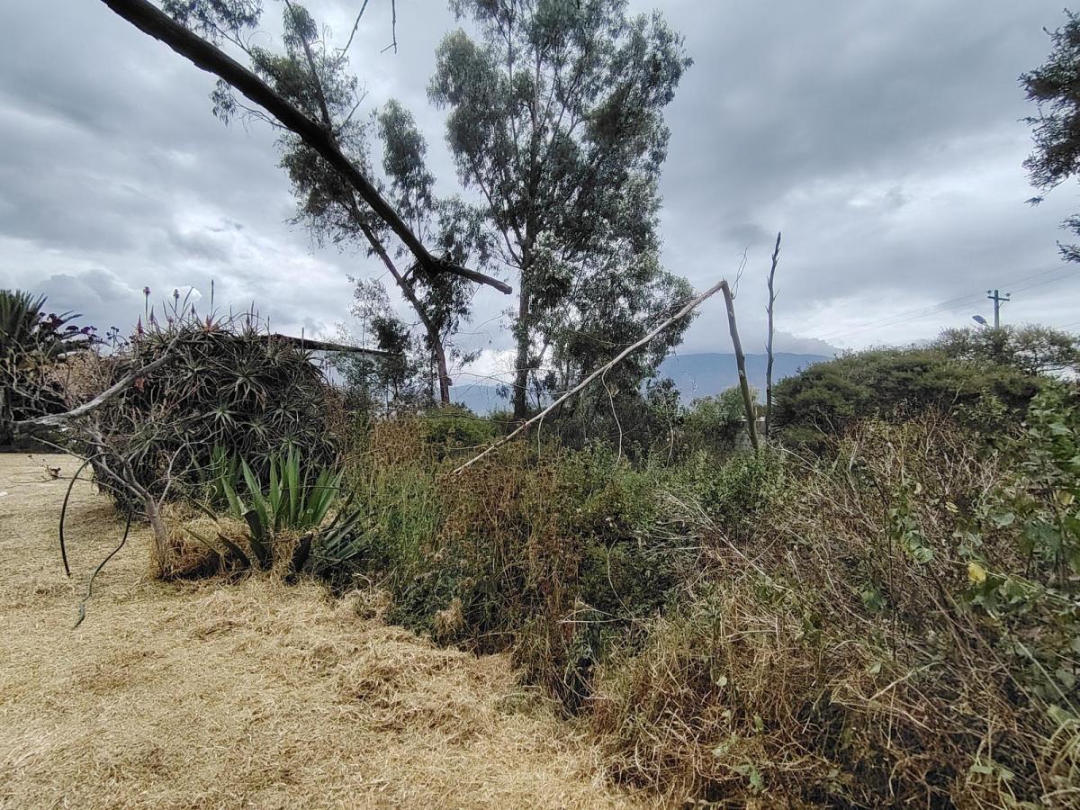 Venta Terreno Plano de 1.710 m² | 47 m de Frente | Cos 80% / 240% | San José de Morán — imagen 3