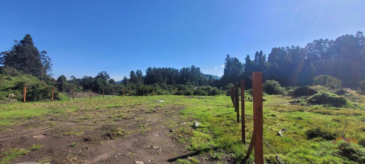 Terreno en Venta en El Sector de Cashapamba Bajo en El Valle de Los Chillos. Provincia de Pichincha — imagen 8