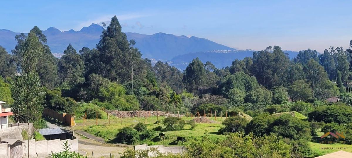 Terreno en Venta en El Sector de Cashapamba Bajo en El Valle de Los Chillos. Provincia de Pichincha — imagen 5