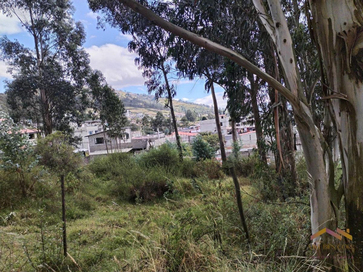 Conocoto Vendo Terreno Esquinero con Linda Vista en Ontaneda — imagen 5