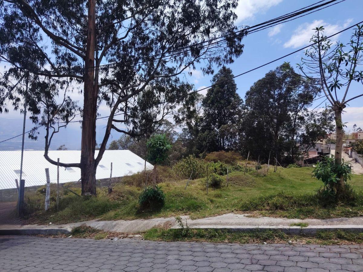 Vendo Terreno en San Isidro del Inca — imagen 6