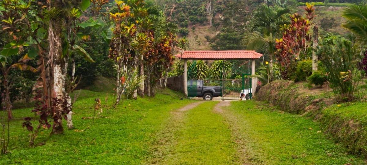 Terreno en Santo Domingo Tsachila — imagen 9