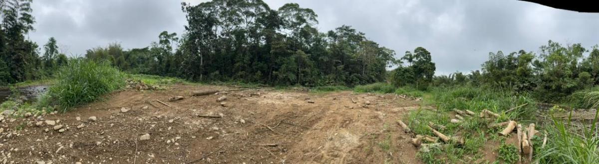 Terreno en Santo Domingo Tsachila — imagen 7