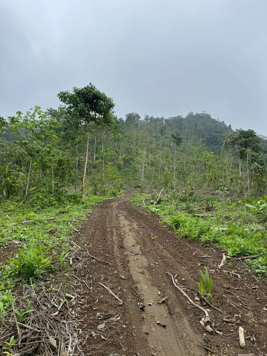 Terreno en Santo Domingo Tsachila — imagen 6