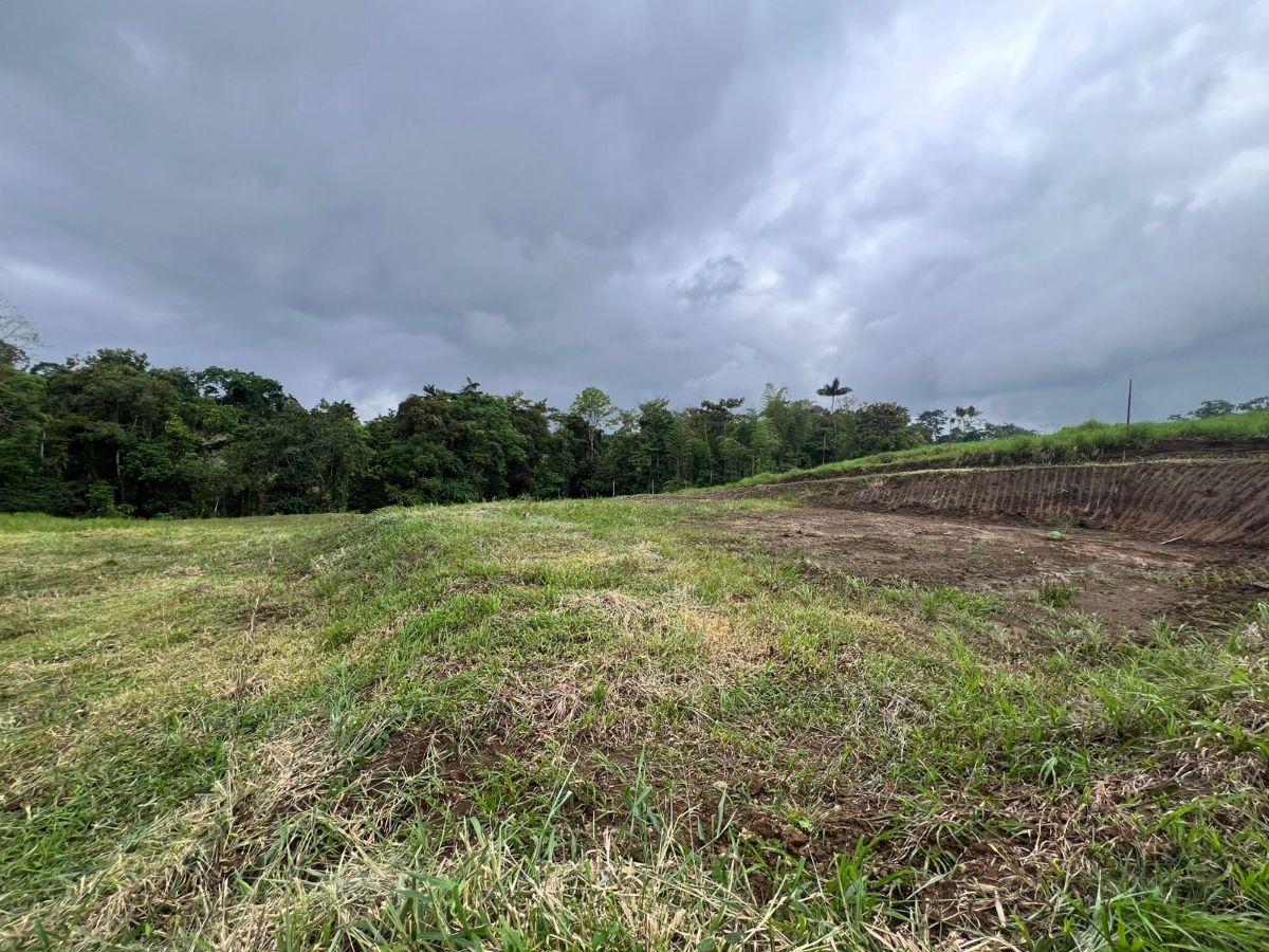 Vendo Terreno de 1 Hectárea en Pedro Vicente Maldonado — imagen 10