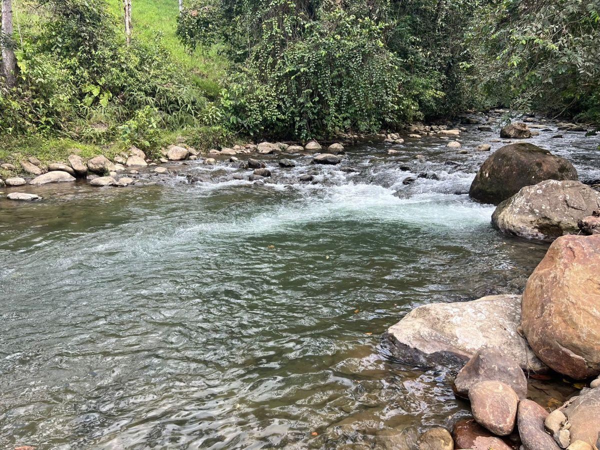 Vendo Terreno de 1 Hectárea en Pedro Vicente Maldonado — imagen 9