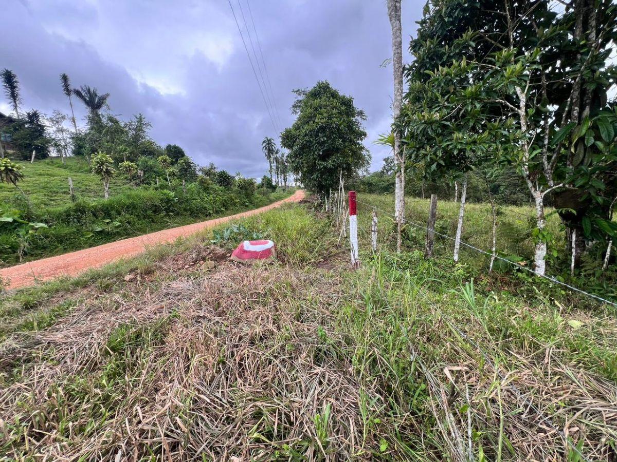Vendo Terreno de 1 Hectárea en Pedro Vicente Maldonado — imagen 8
