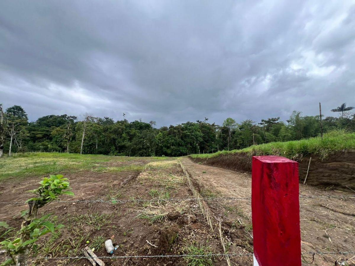 Vendo Terreno de 1 Hectárea en Pedro Vicente Maldonado — imagen 7