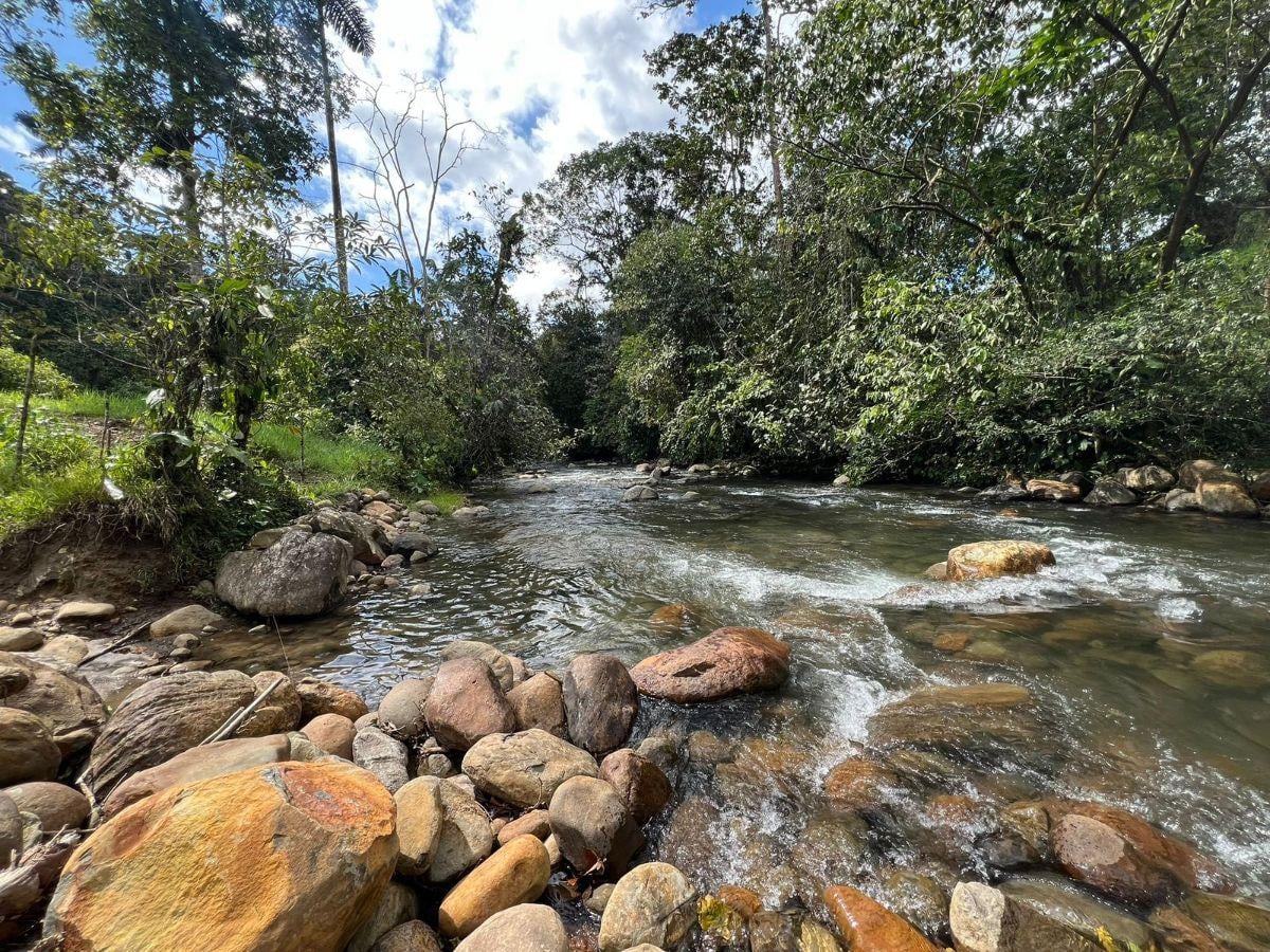 Vendo Terreno de 1 Hectárea en Pedro Vicente Maldonado — imagen 5
