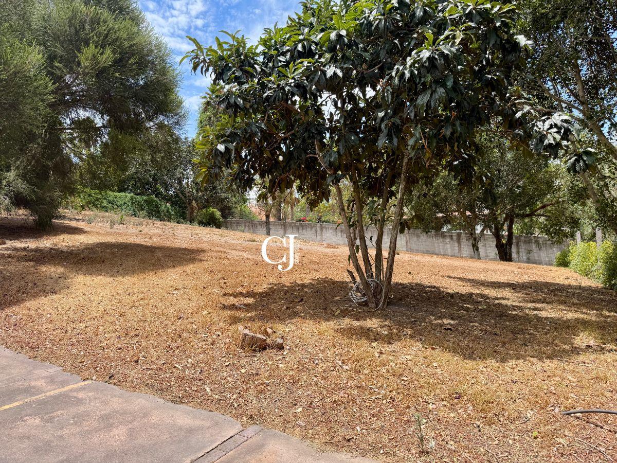 Terreno 1000 m² en Exclusiva Urbanización de Cumbayá — imagen 8