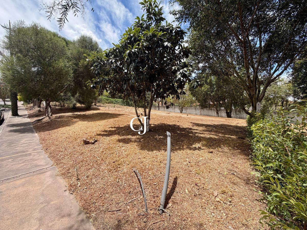 Terreno 1000 m² en Exclusiva Urbanización de Cumbayá — imagen 7
