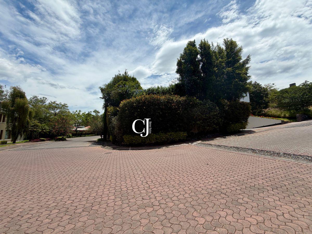Terreno 1000 m² en Exclusiva Urbanización de Cumbayá — imagen 6