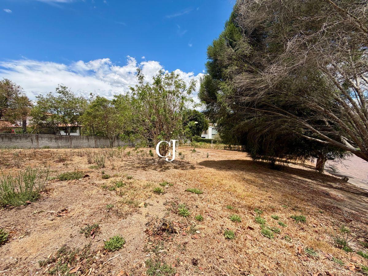 Terreno 1000 m² en Exclusiva Urbanización de Cumbayá — imagen 5