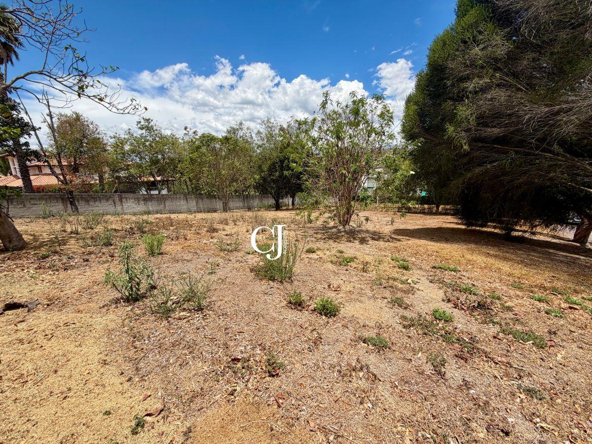 Terreno 1000 m² en Exclusiva Urbanización de Cumbayá — imagen 4