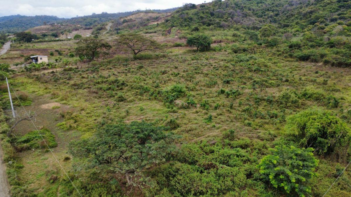 Terreno de 21747.73 en La Via a Daule en El Parque Industrial Petrillo - Nobol, Guayas — imagen 9