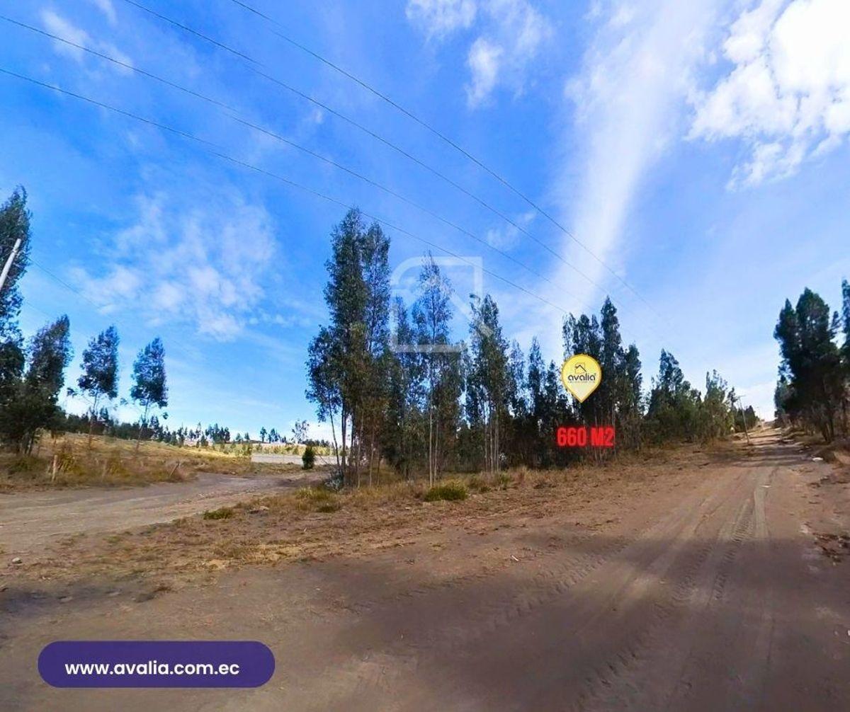 Venta de Terreno Al Norte de Riobamba, Sector El Bosque, 660 m², Chimborazo — imagen 8