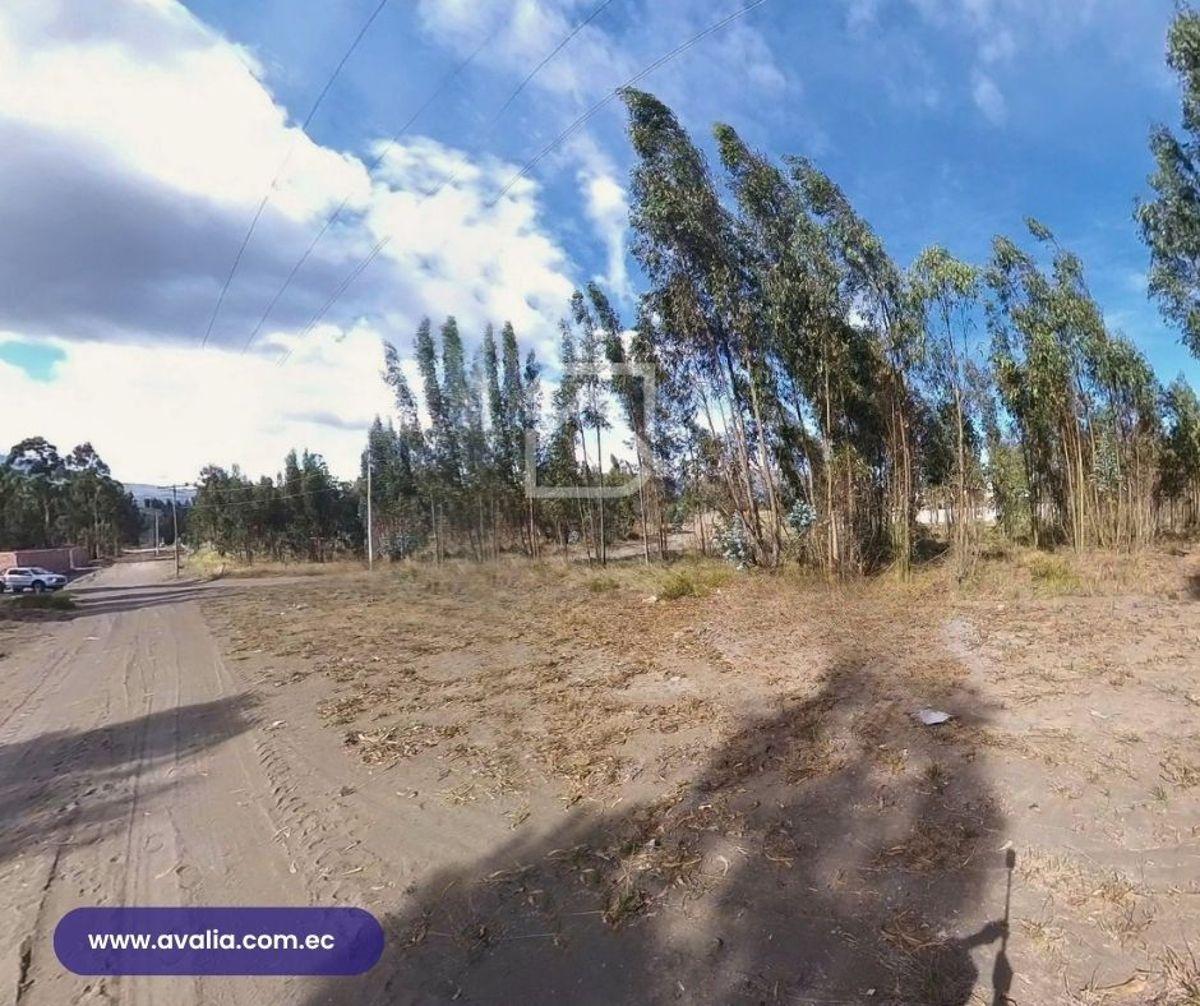 Venta de Terreno Al Norte de Riobamba, Sector El Bosque, 660 m², Chimborazo — imagen 5