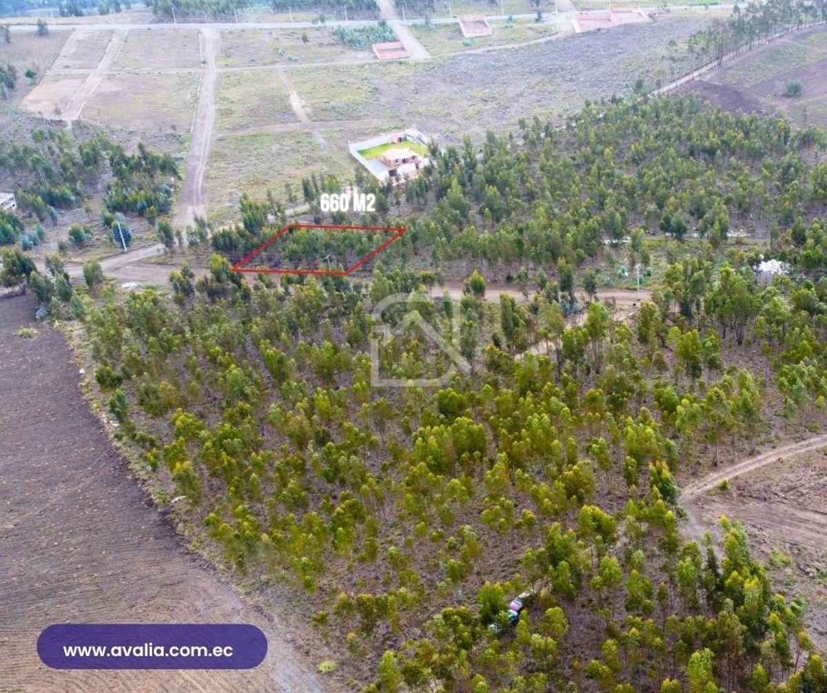 Venta de Terreno Al Norte de Riobamba, Sector El Bosque, 660 m², Chimborazo — imagen 4