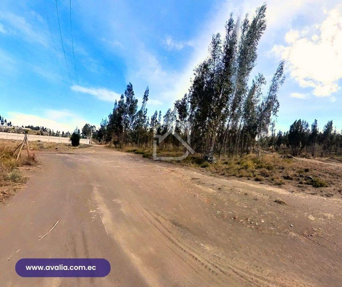 Venta de Terreno Al Norte de Riobamba, Sector El Bosque, 660 m², Chimborazo — imagen 3