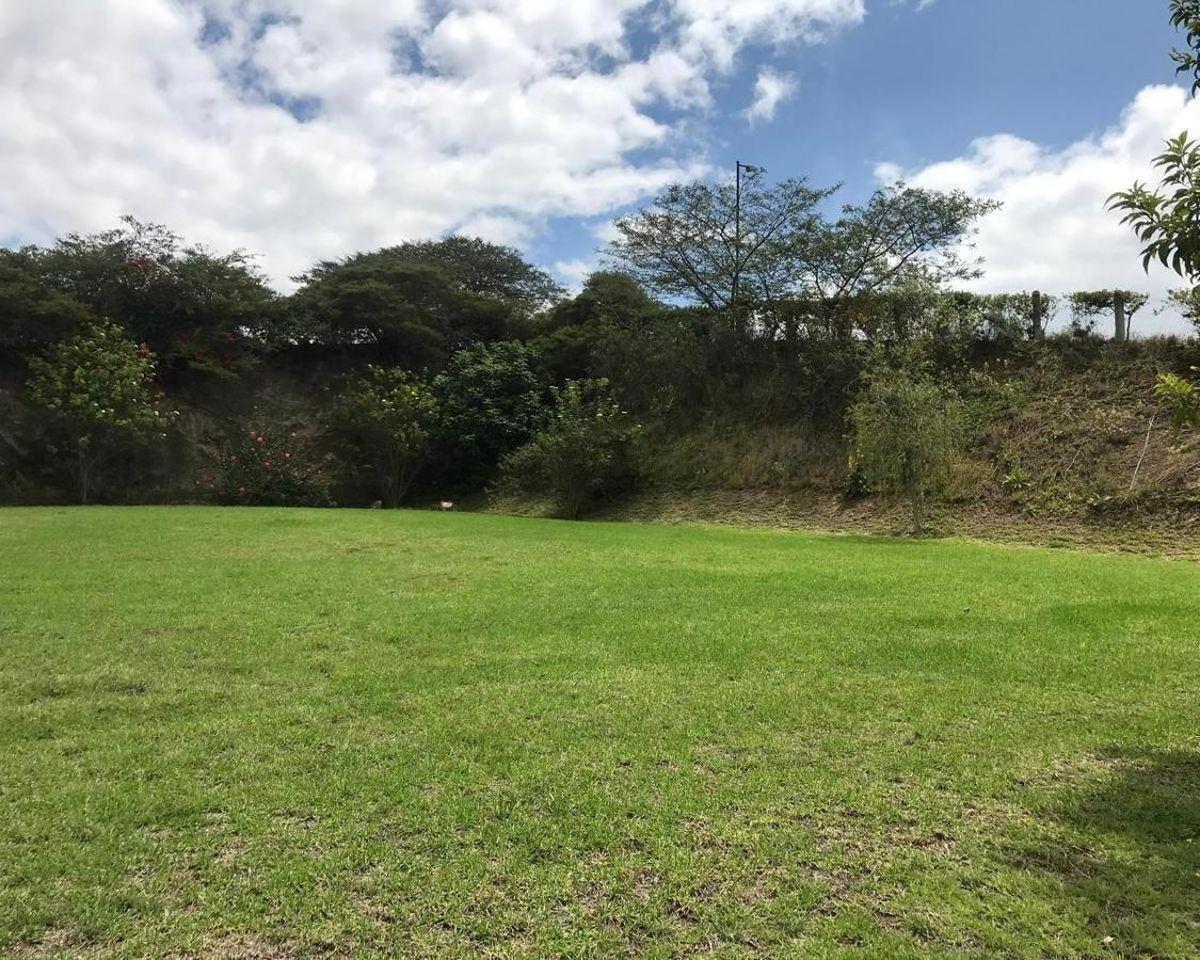 Terreno Esquinero de 1065 m² en Venta en Urbanización Privada en Cumbayá — imagen 8