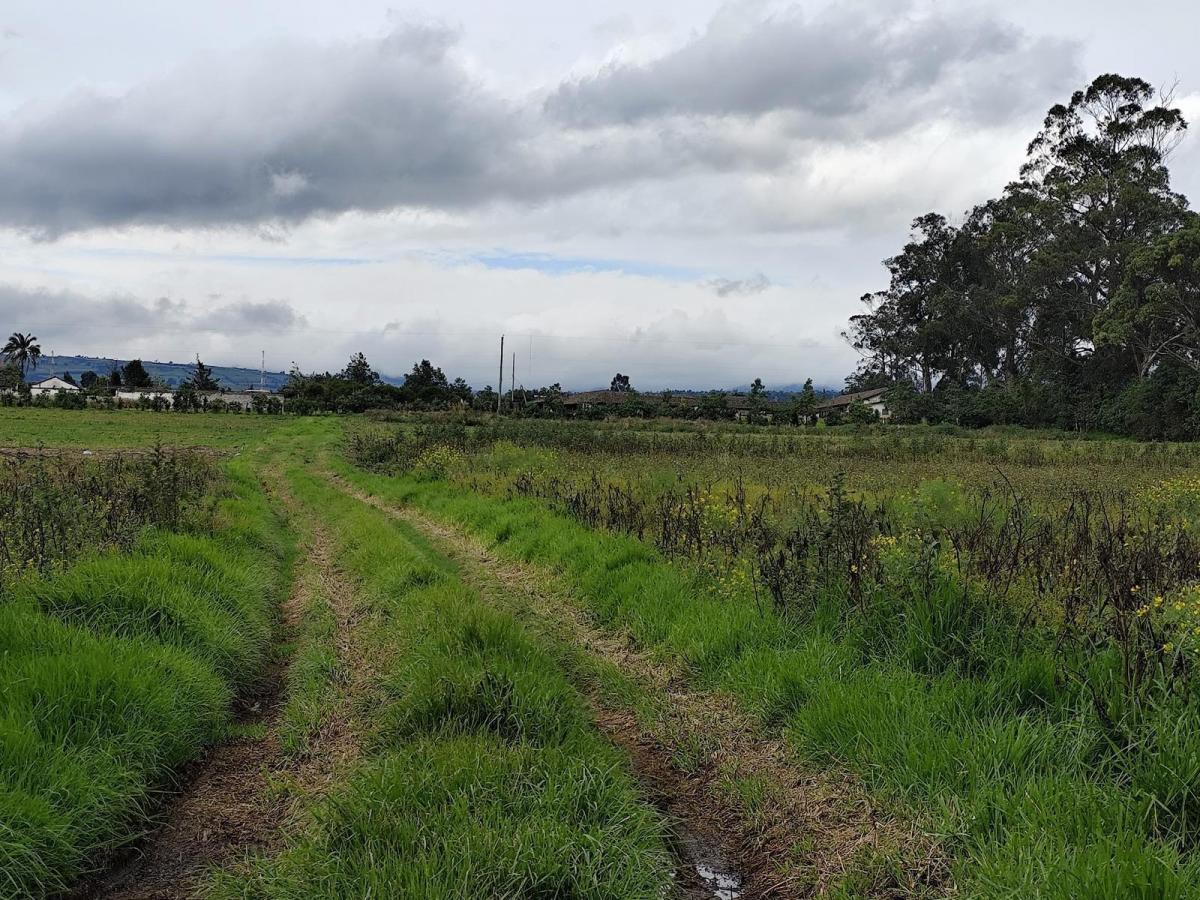 Terreno de Venta en Machachi, Sobre La Panamericana, Esquinero, 3.6 Hectáreas — imagen 9