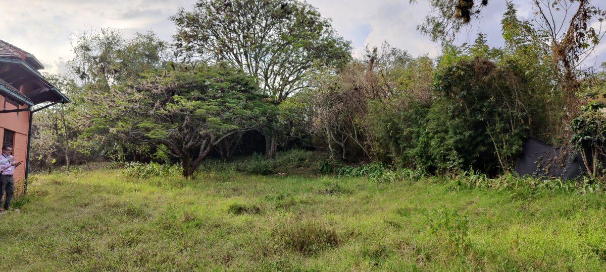 Venta de Terreno en Cumbayá, Ideal Para Proyecto Inmobiliario — imagen 10