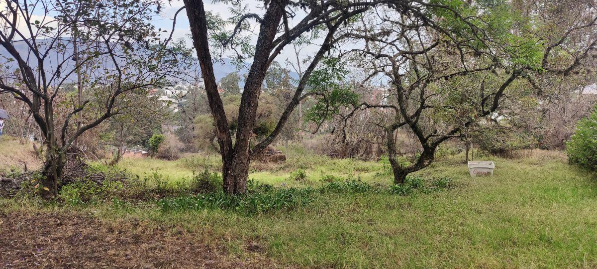Venta de Terreno en Cumbayá, Ideal Para Proyecto Inmobiliario — imagen 6