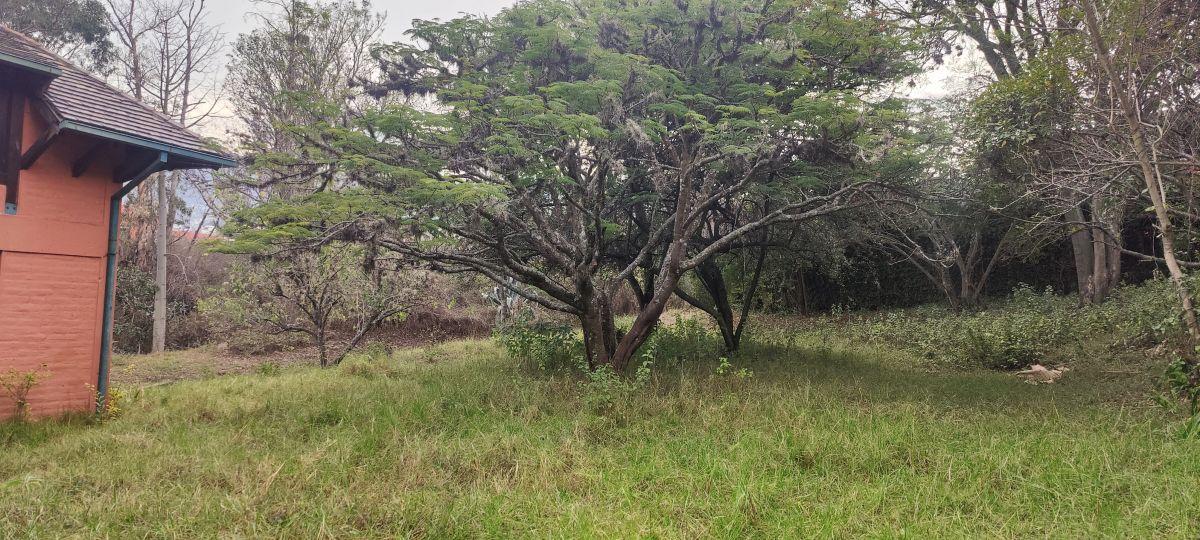 Venta de Terreno en Cumbayá, Ideal Para Proyecto Inmobiliario — imagen 5