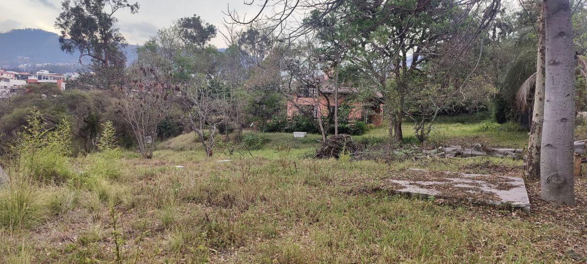Venta de Terreno en Cumbayá, Ideal Para Proyecto Inmobiliario — imagen 4