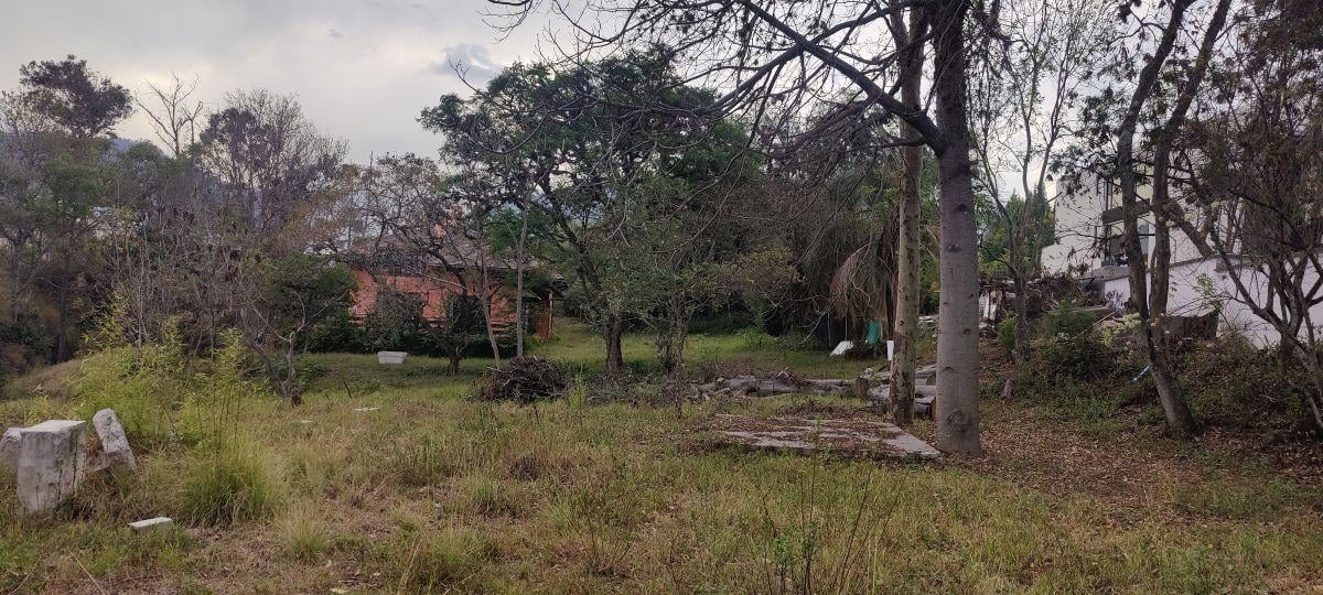 Venta de Terreno en Cumbayá, Ideal Para Proyecto Inmobiliario — imagen 3
