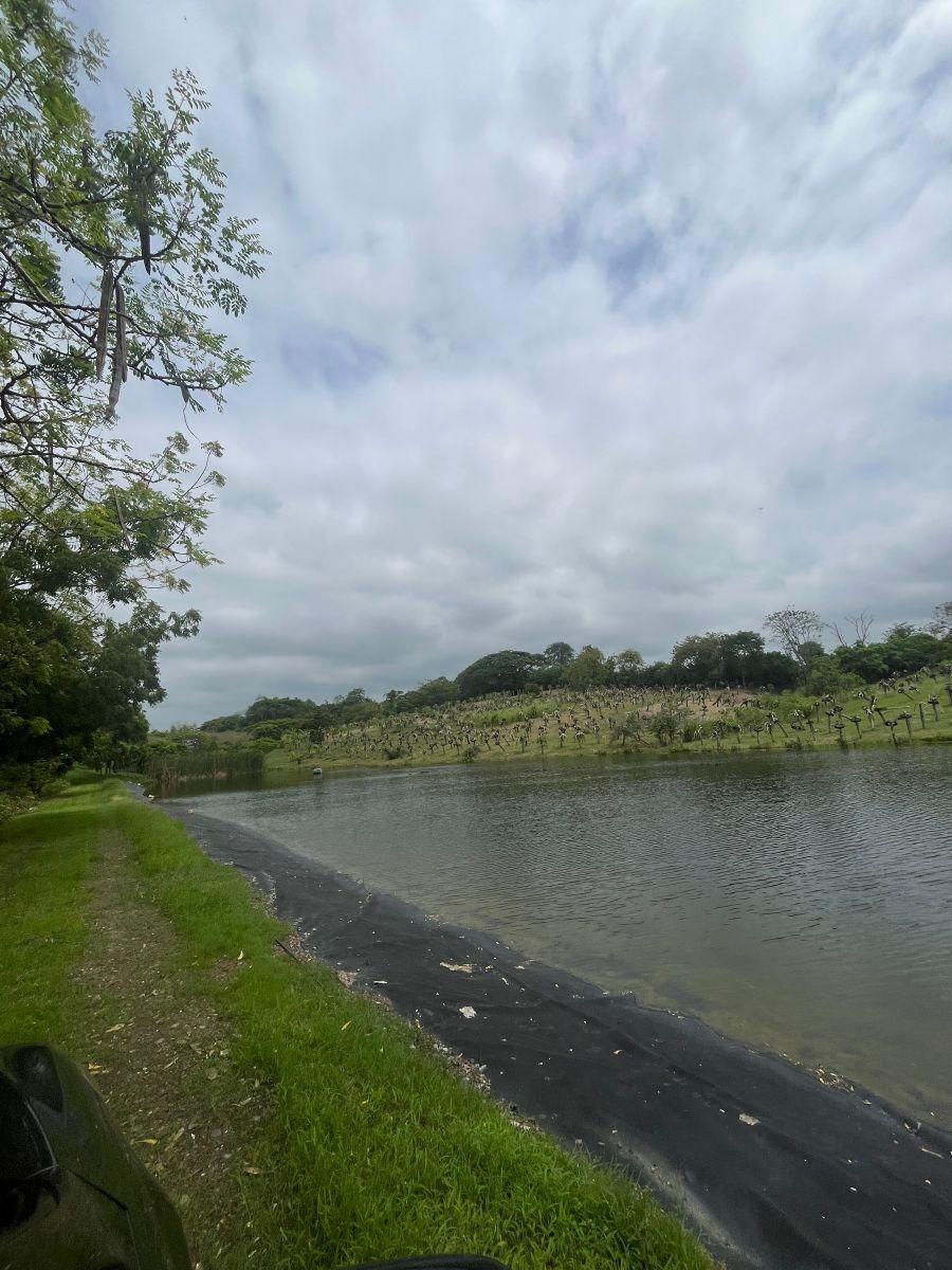 Macrolote Vía a La Costa Km 21 un Poco Más Adelante del Comisariato, Guayas — imagen 7