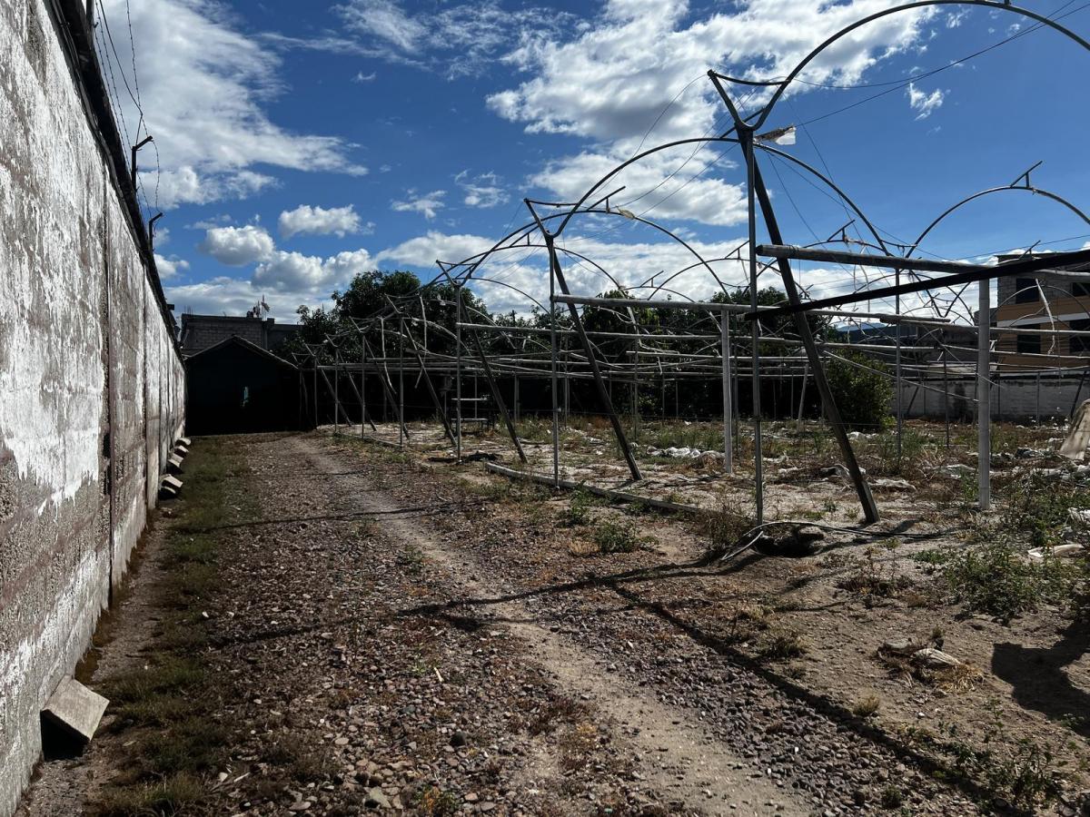 Terreno Esquinero en San Carlos de Alangasí — imagen 9