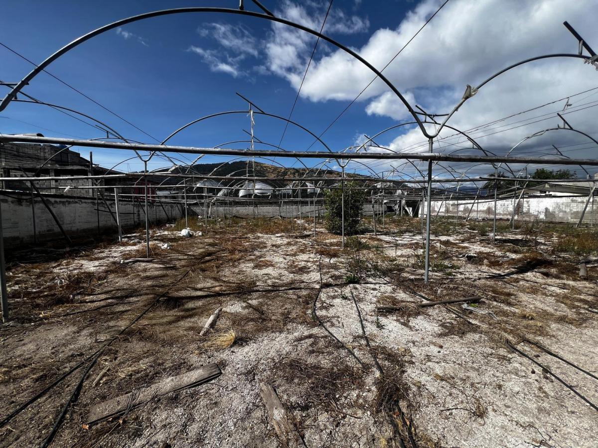 Terreno Esquinero en San Carlos de Alangasí — imagen 8