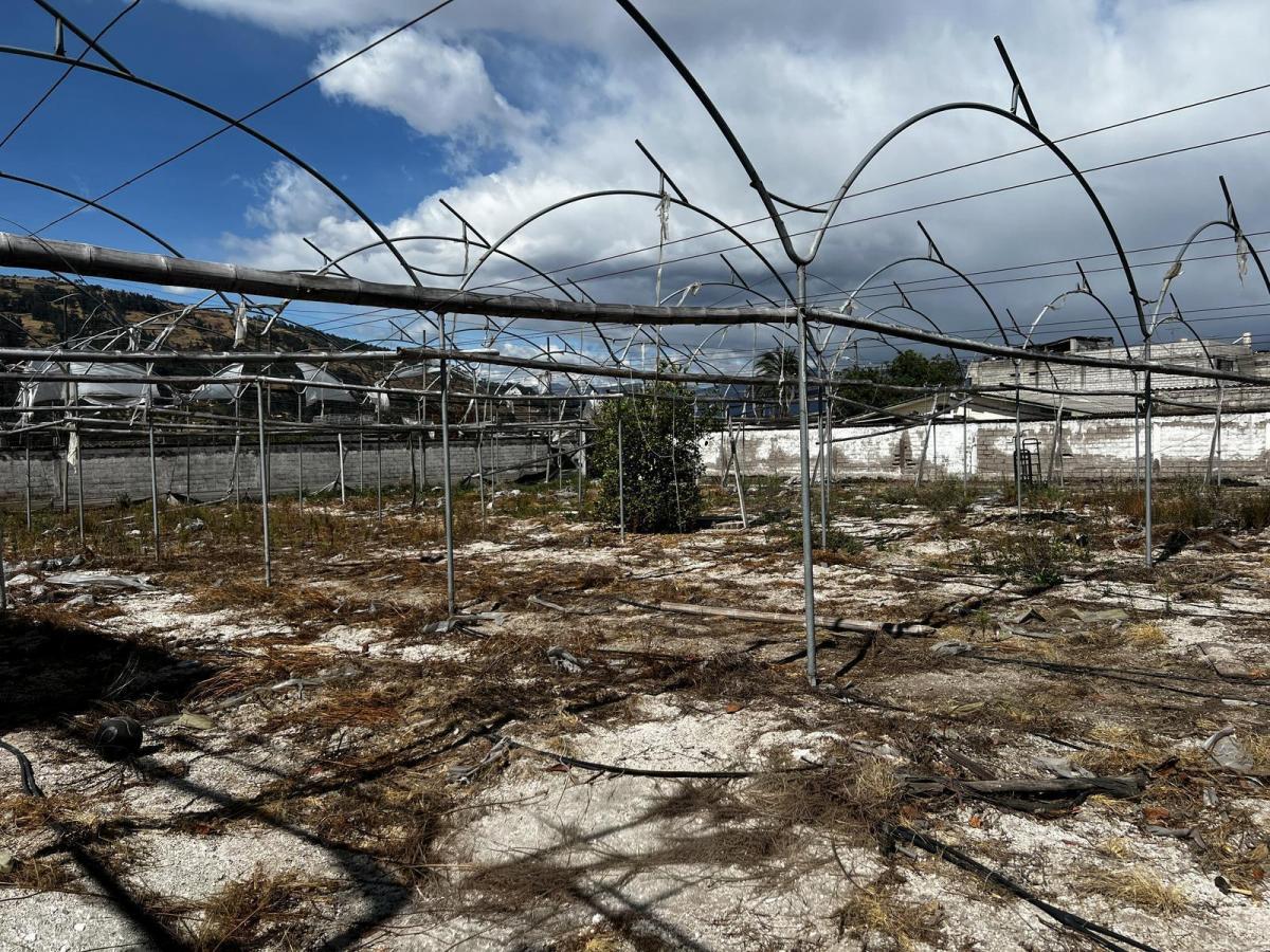 Terreno Esquinero en San Carlos de Alangasí — imagen 7