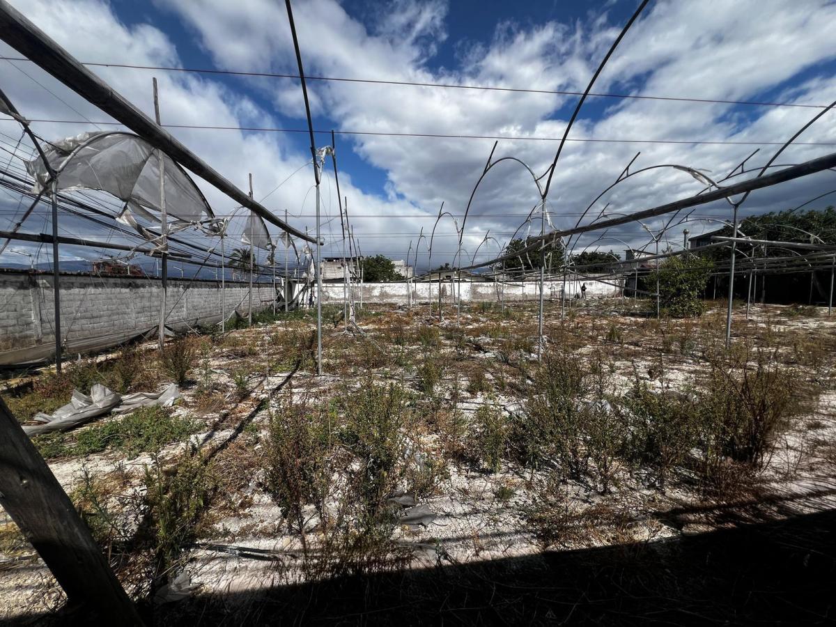 Terreno Esquinero en San Carlos de Alangasí — imagen 6