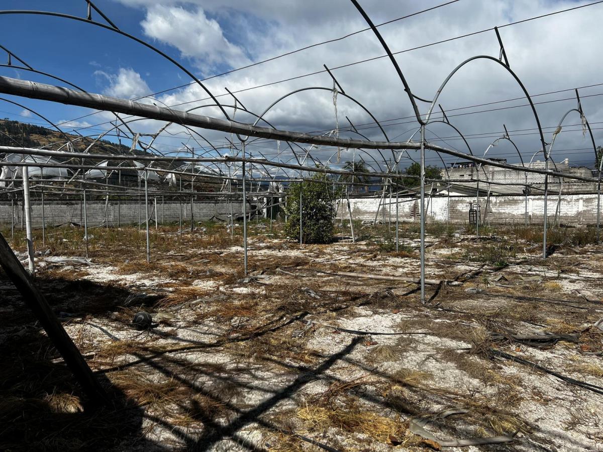 Terreno Esquinero en San Carlos de Alangasí — imagen 4