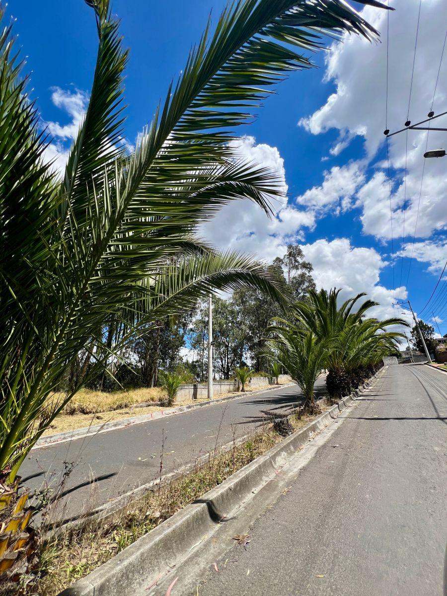 Venta de Terreno 325 m² en Amagasí del Inca — imagen 10