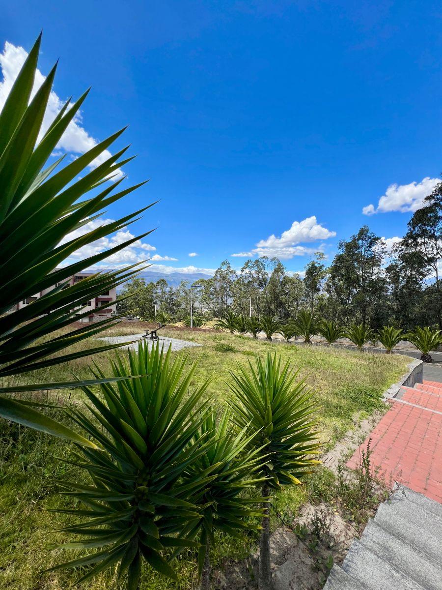 Venta de Terreno 325 m² en Amagasí del Inca — imagen 9