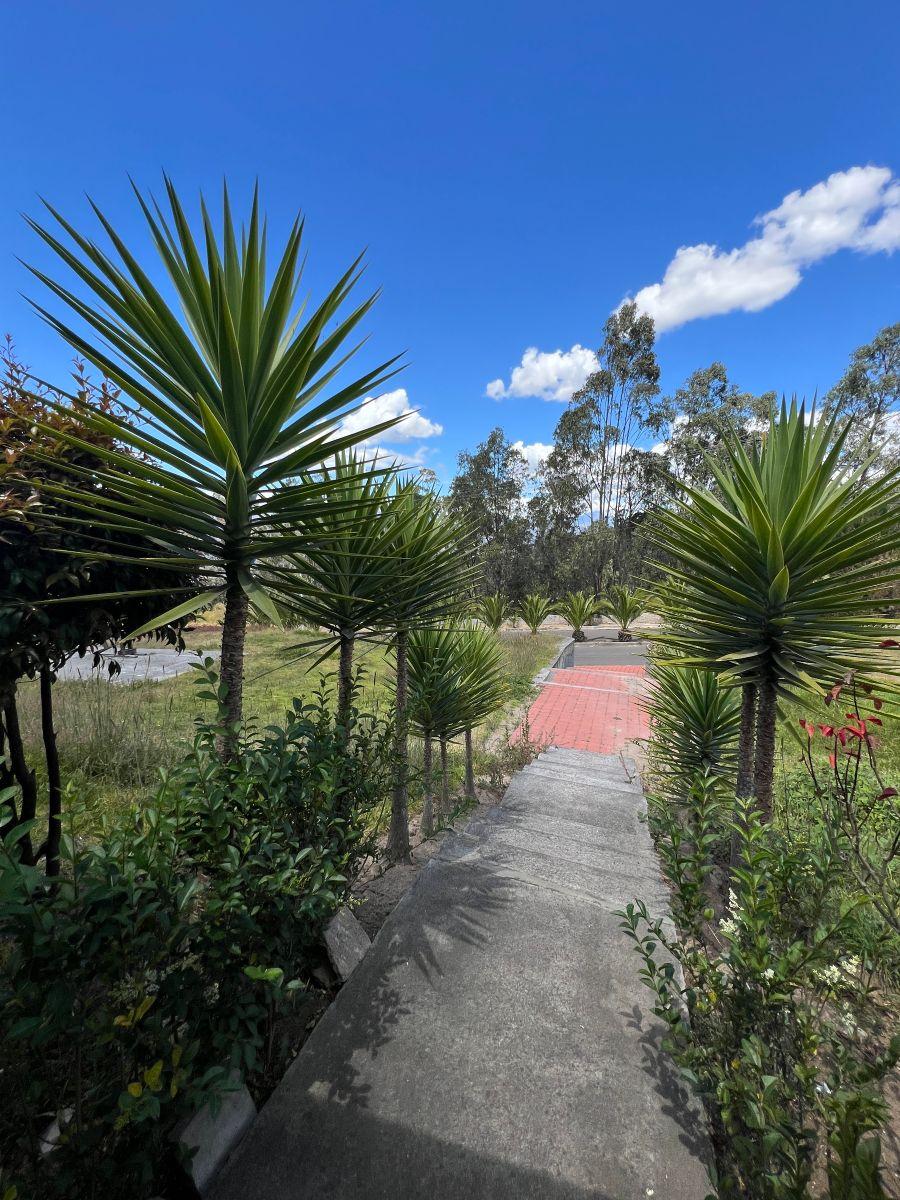 Venta de Terreno 325 m² en Amagasí del Inca — imagen 8