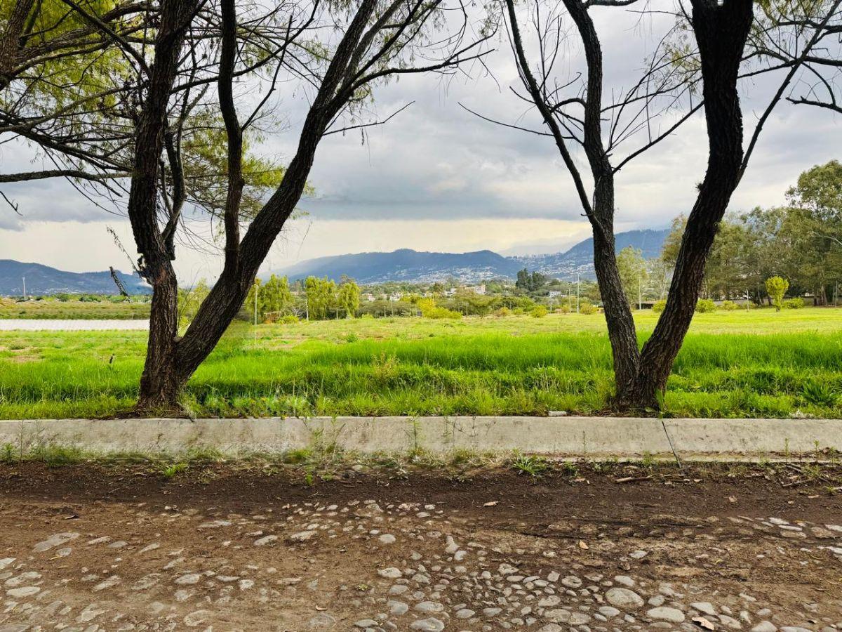 Terreno Plano 3,355 m² en Venta en Tumbaco, urbanización Exclusiva Sector Hilacril, Colegio Cervantes — imagen 10