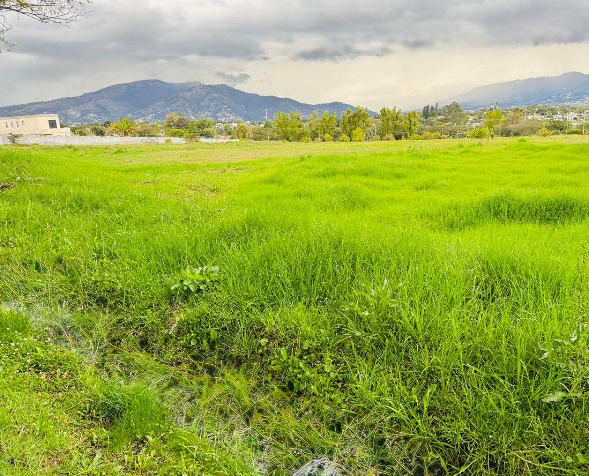 Terreno Plano 3,355 m² en Venta en Tumbaco, urbanización Exclusiva Sector Hilacril, Colegio Cervantes — imagen 7