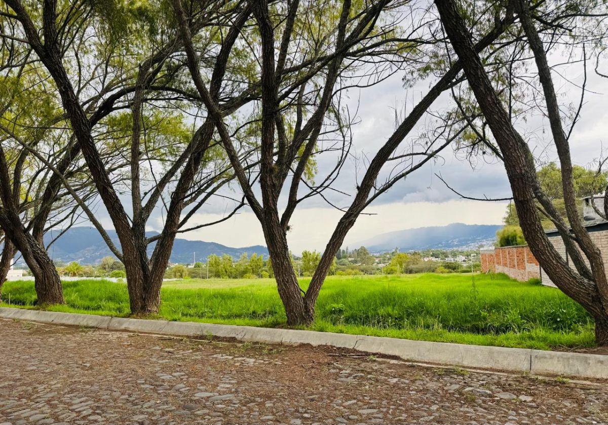 Terreno Plano 3,355 m² en Venta en Tumbaco, urbanización Exclusiva Sector Hilacril, Colegio Cervantes — imagen 6