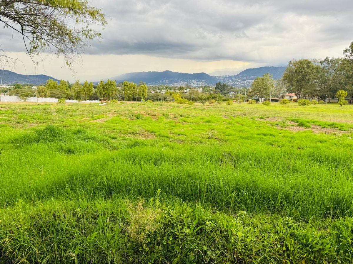 Terreno Plano 3,355 m² en Venta en Tumbaco, urbanización Exclusiva Sector Hilacril, Colegio Cervantes — imagen 3