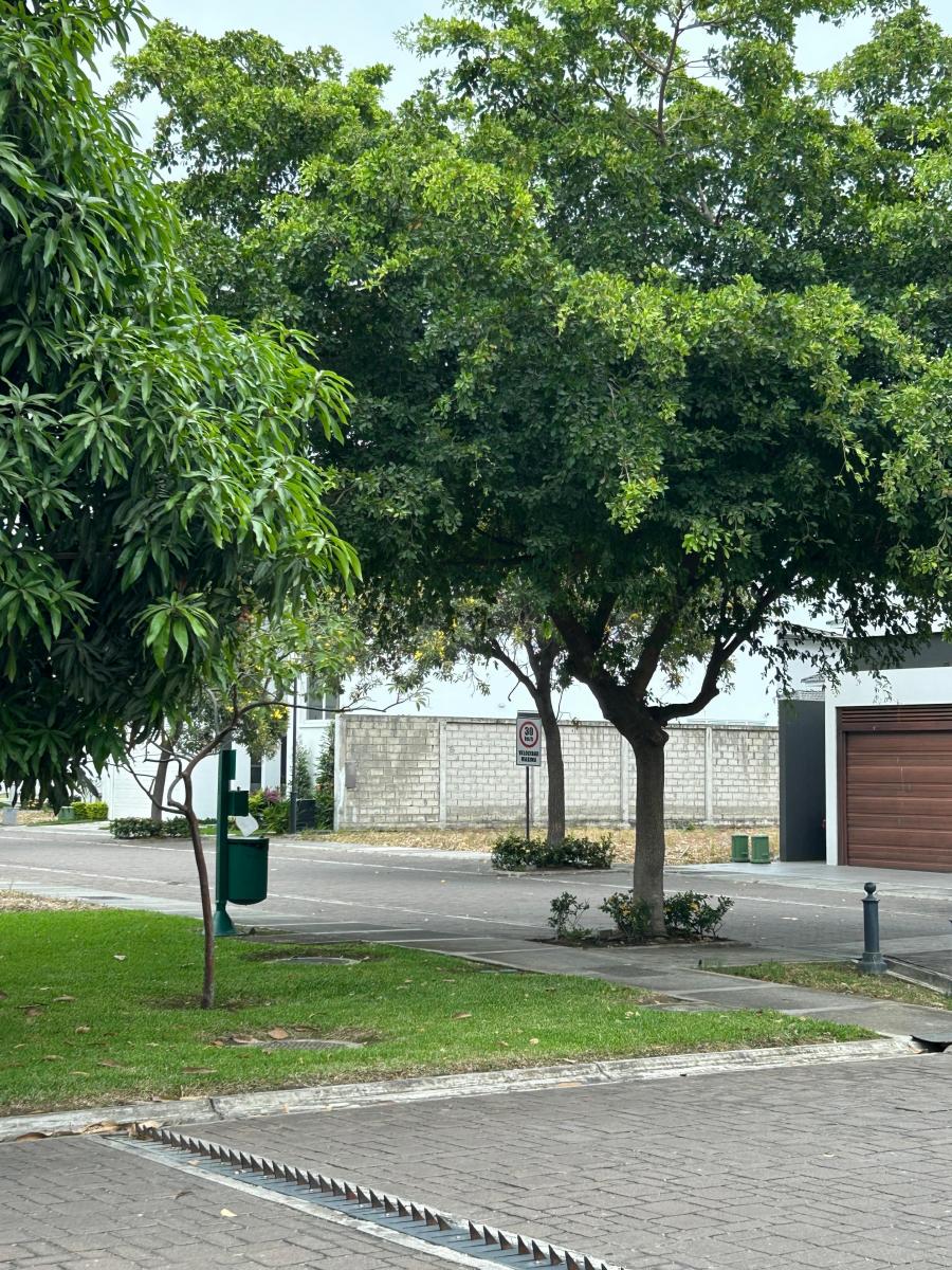 Vendo Hermoso Terreno en Isla Mocoli, Guayas — imagen 8