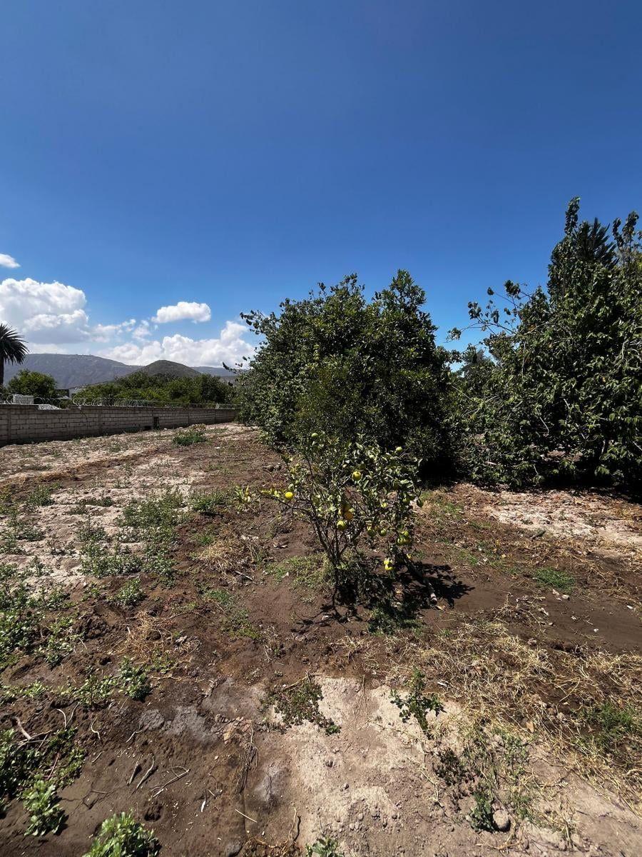 Guayllabamba ¡Perfecto Para Proyectos Residenciales o Comerciales! Terreno 2.584 m² + Casa — imagen 9