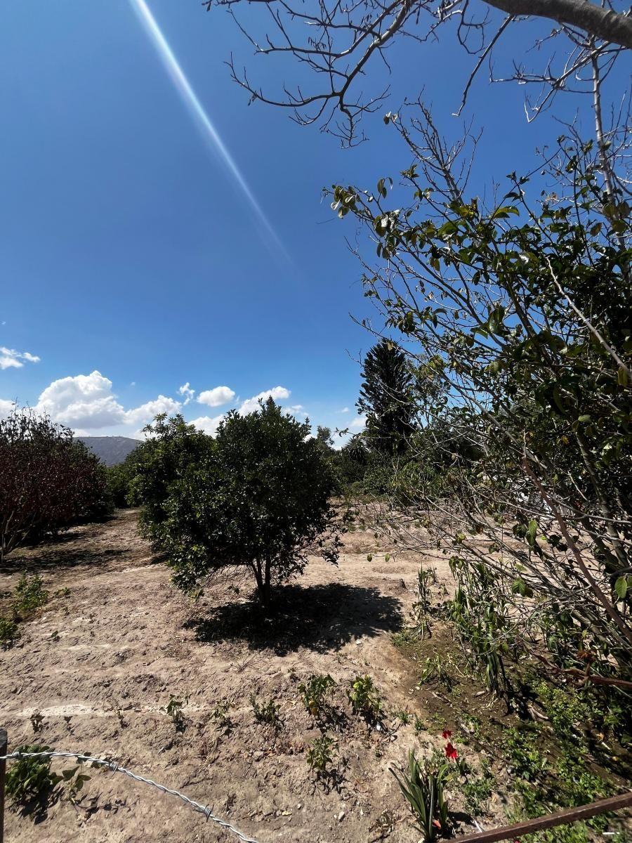 Guayllabamba ¡Perfecto Para Proyectos Residenciales o Comerciales! Terreno 2.584 m² + Casa — imagen 7