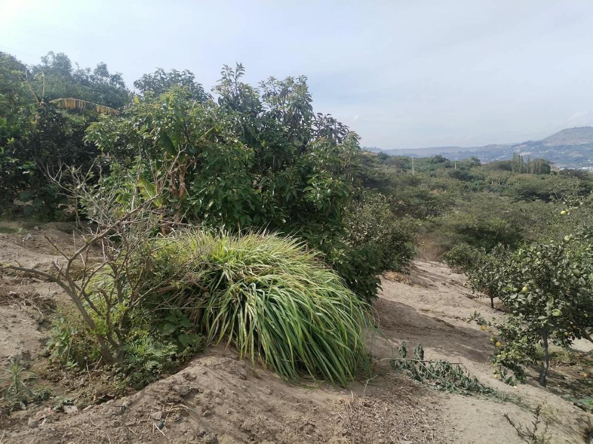 Terreno en Venta Sector Guayllabamba (Coop. La Sofia) — imagen 10