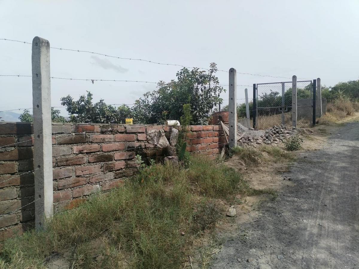 Terreno en Venta Sector Guayllabamba (Coop. La Sofia) — imagen 8