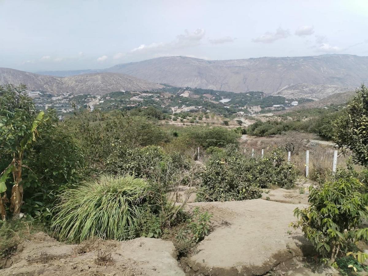 Terreno en Venta Sector Guayllabamba (Coop. La Sofia) — imagen 6