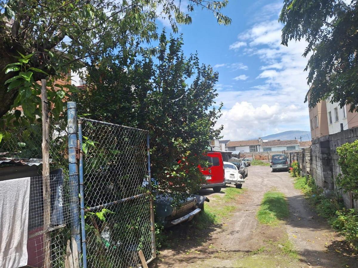 Terreno en La Concepción — imagen 6